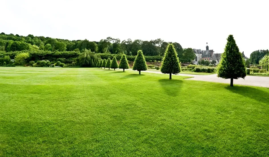 Entretien de parcs près de Beaune