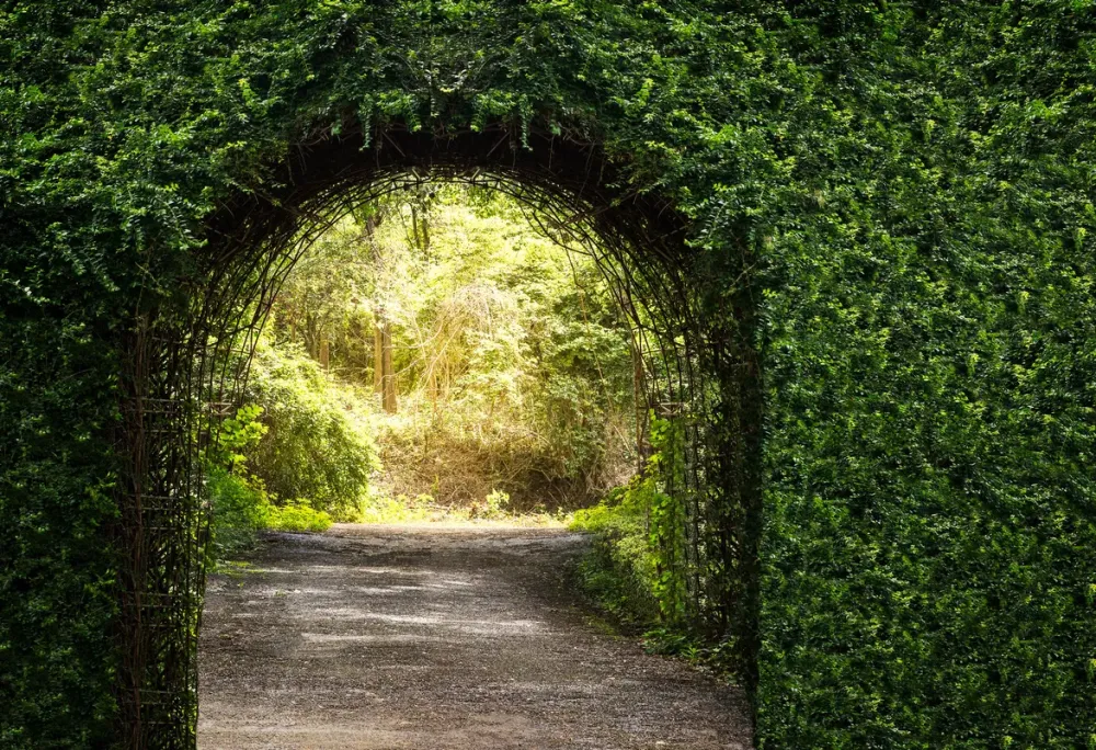 Entretien d’espaces verts près de Beaune